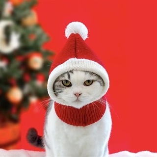 Julehat til hunde eller katte - Størrelse: S